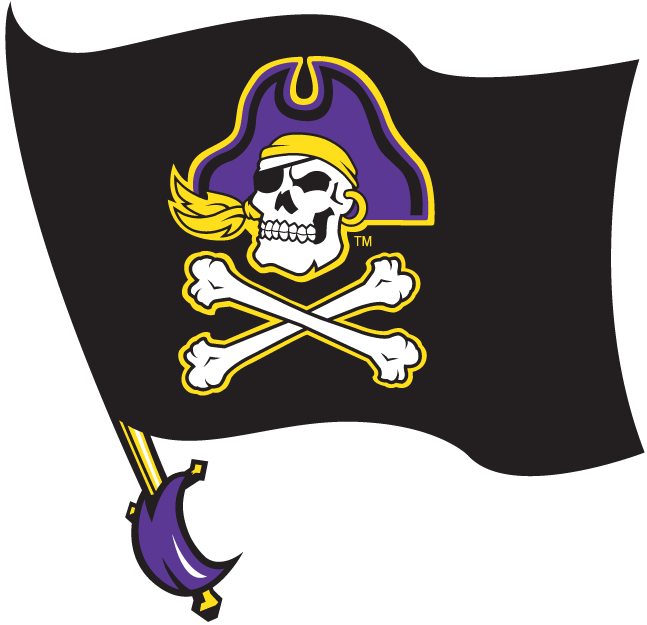 East Carolina Pirates 1999-2013 Alternate Logo v2 iron on transfers for fabric